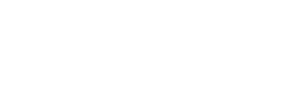 Logo Wiser Educação